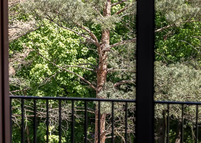 „vanagupes Pusyno Spa” Apartamentai דירה